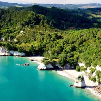 1. Coromandel