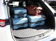 Explorer Arlo Suitcases
