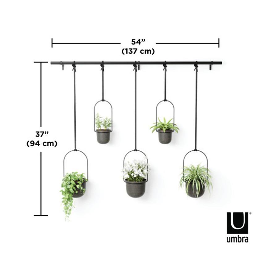 Umbra Triflora Hanging Planter (Set of 5) Black Black