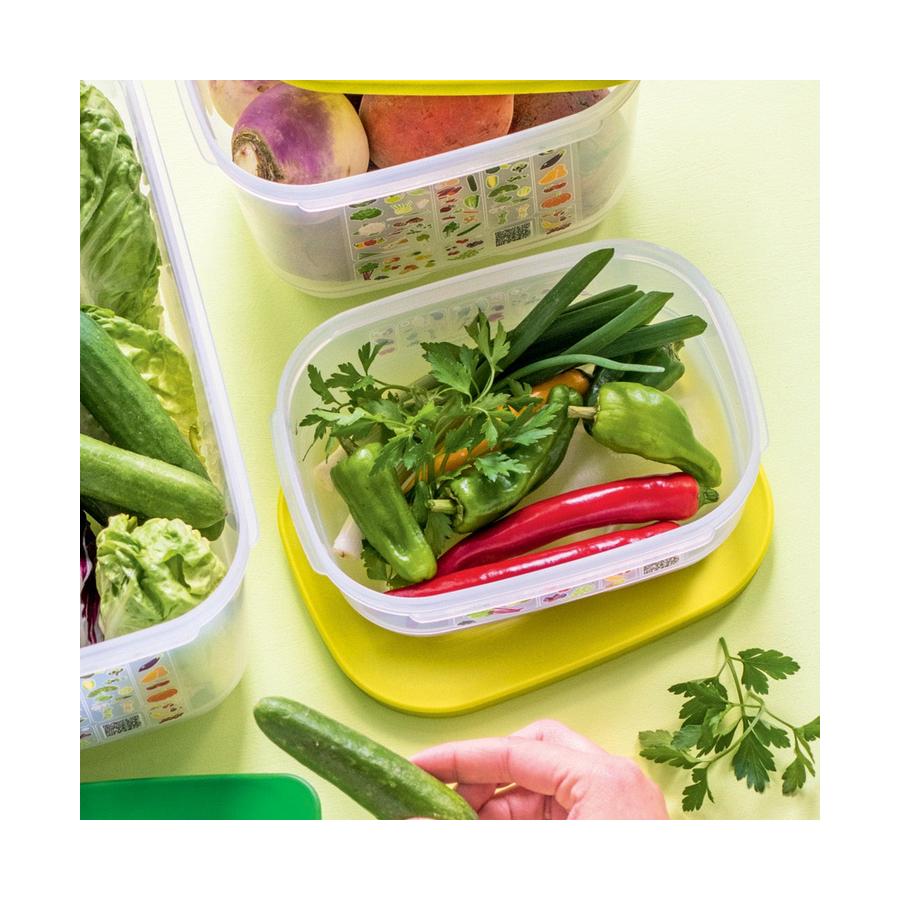 Tupperware VentSmart Rectangle Small Low 800ml Container Green Green