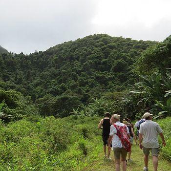 Hiking Trails