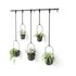 Umbra Triflora Hanging Planter (Set of 5) Black