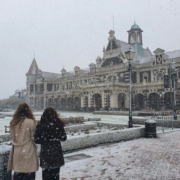 snow in dunedin
