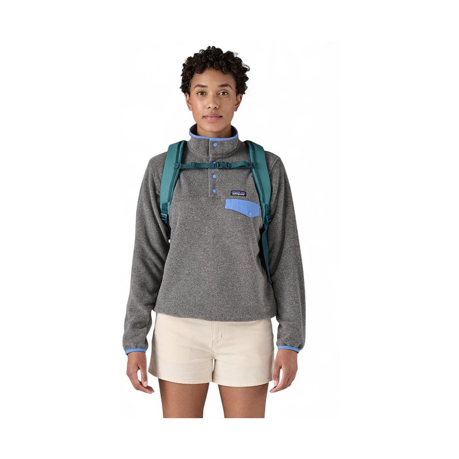 Patagonia Refugio Daypack 26L Wetland Blue Wetland Blue