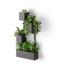 Umbra Cubiko Wall Planter Black